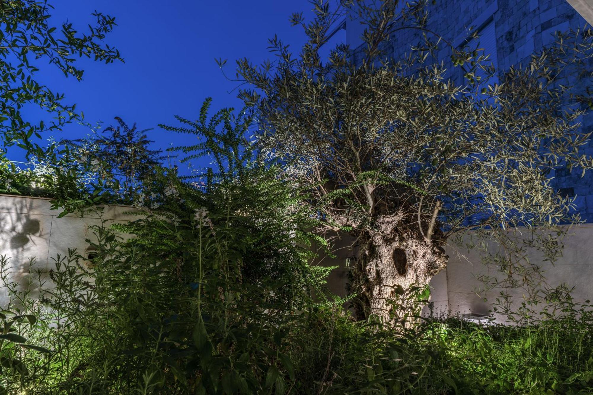 Olea Boutique Suites Polignano Polignano a Mare Kültér fotó